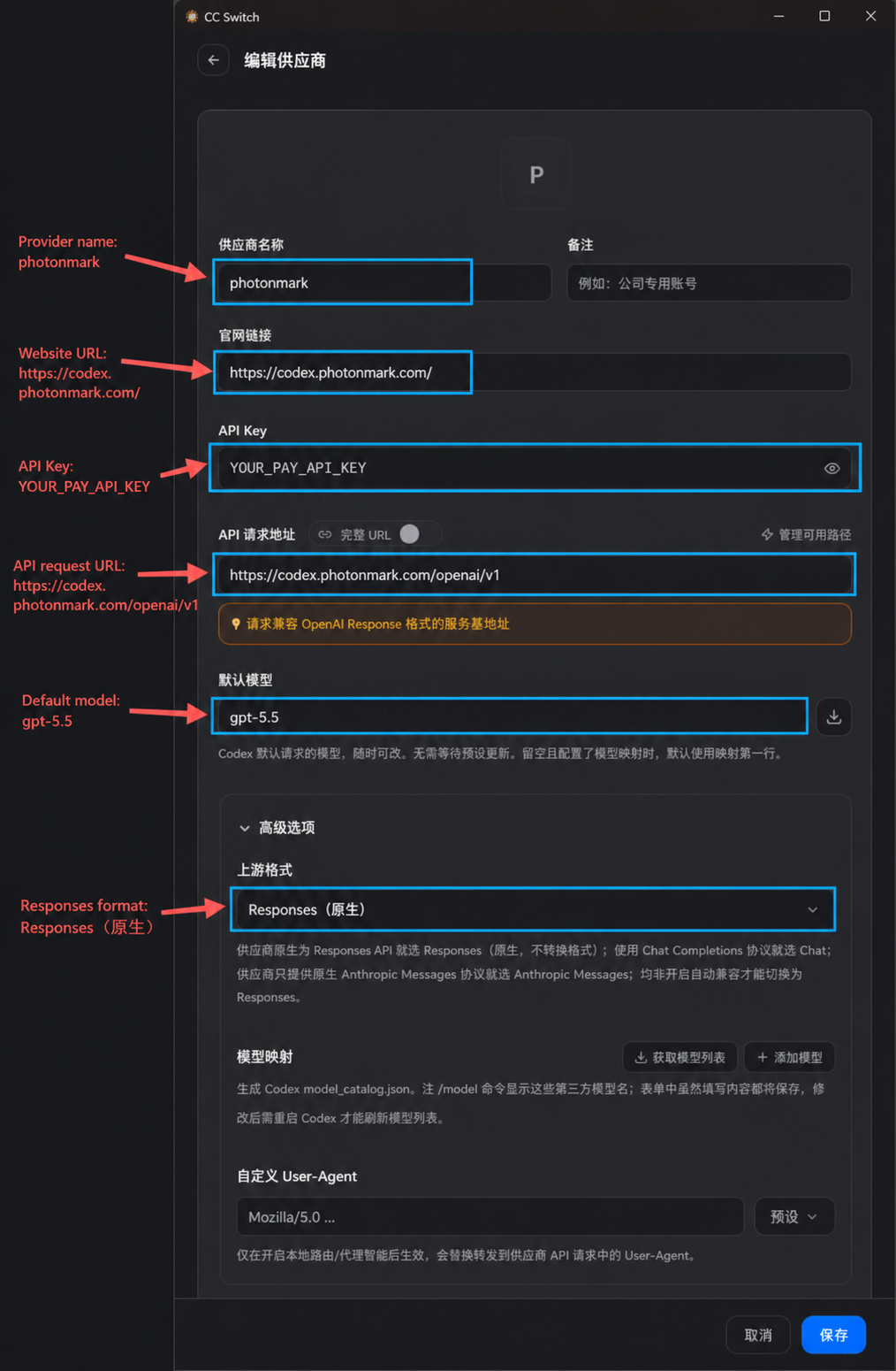 Sanitized CC Switch Pay provider setup showing provider name, website URL, API key placeholder, API request URL, model, and Responses format